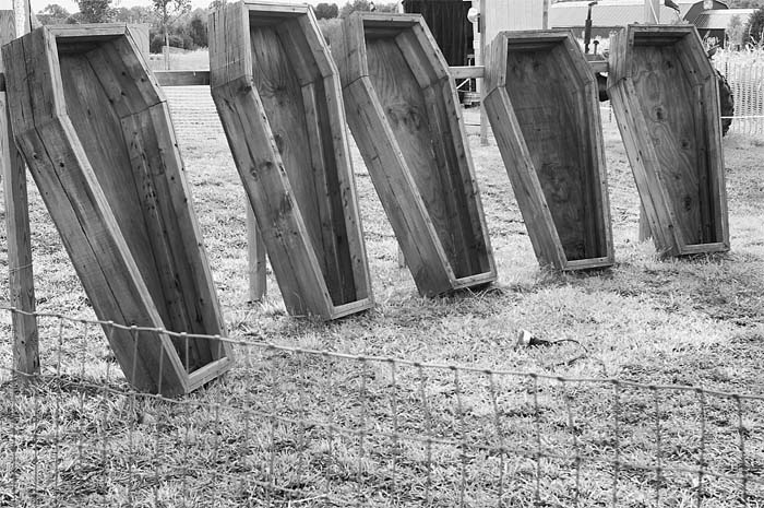 Halloween coffins for the entire family