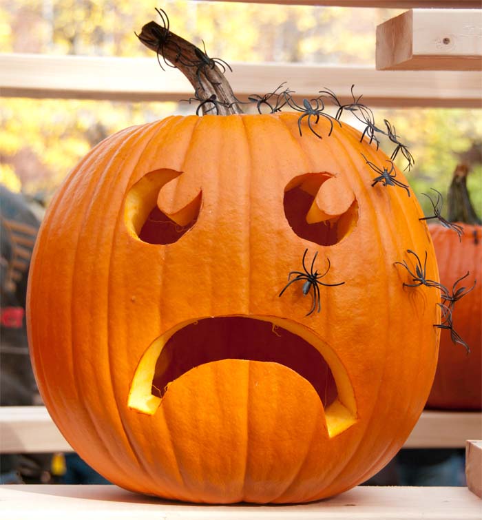 jack-o-lantern with spiders